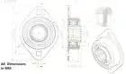 Heavy Duty Two Bolt Flange Bearing Assembly With Three Quarter Inch Hex Bore And High Temp Grease For Planters and Driveline Shafts technical diagram.