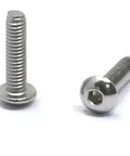 Top Shelf Stainless Steel M2.5 By Ten Millimeter Hex Socket Button Head Cap Screw Bolt Kit shown from side angle, highlighting finish and hex drive.