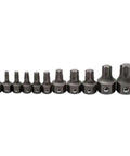 Torx Insert Bit Set for 6 and 12 Point Wrenches 11 Piece Metric Bits Built for Quick Swaps Low Profile displayed in a row