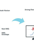 Diagram of muscle flexion levels with EMG readings, depicting weak and strong flexion using Straight Up Badass Muscle Sensor Module Featuring High Performance Emg Technology.