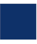 Tight blue latches on Heavy Duty Clear Storage Bins 2 Pack for secure closure and organization of various items.