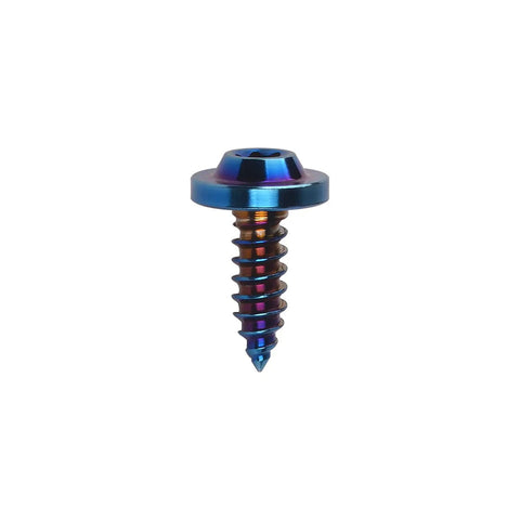 Heavy Duty Grade 5 Titanium Self Tapping Screws M5 X 15MM Burnt Blue Finish showing smooth threads and pointed tip.