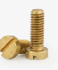Top Shelf Brass Cheese Head Screws Slotted Machine Bolts M2.5 X 10mm Fasteners Badass 50 Pack close-up view of two brass fasteners.