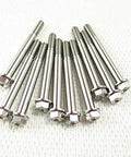 10 Piece Top Shelf Titanium Gr5 Hex Flange Bolt M6 X 60mm With 1.0mm Thread Pitch Plus Allen Socket Cap Head laid out on a white surface.