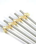 Lead Screw T6 High Precision Linear Motion Screw In 304 Stainless Steel, 6mm Diameter, 1mm Pitch, Length Range 100-550mm, Copper Nut, Built For DIY CNC And 3D Printer Builds, five screws