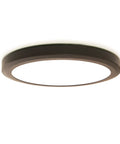15 Inch LED Edge Lit Flush Mount Ceiling Light With Dope Color Temperature Switch Dimmable Bronze Cast Aluminum Low Profile