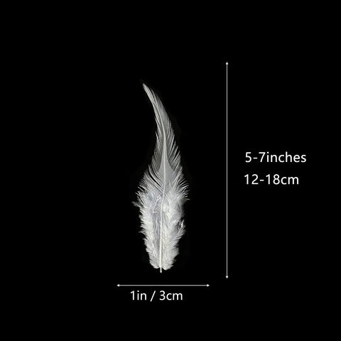 Single white feather from Rooster Saddle Feathers Craft Pack 200 Pcs 5 To 7 Inches Premium Natural Feathers For DIY Earrings Dream Catchers