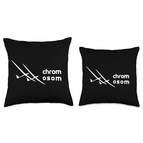 Throw Pillow With Gliding Plane Design For Home Decor Double Sided Print Airport Theme 100 Percent Polyester Fill Sewn Closed Durable Cover Great For Living Room Bedroom Office Gift, showing black pillow with white plane silhouette and text.