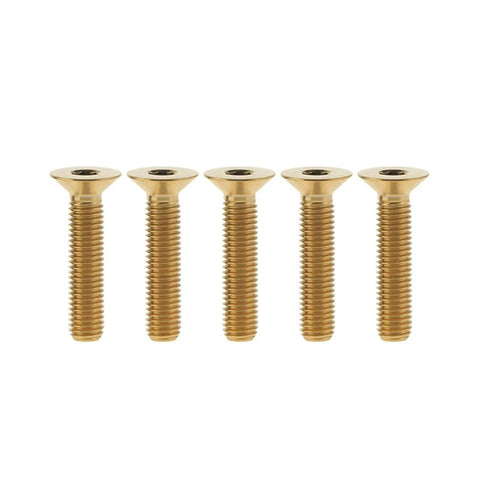 Top Shelf 5 Piece Set Of Grade 5 Titanium M6 Flat Countersunk Hex Socket Cap Bolts In Sleek Gold Finish, showing five bolts.