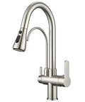 Two Handle Kitchen Faucet With Pull Down Sprayer And 24 Inch Hose Brushed Nickel 3 In 1 Water Filter Purifier, Solid Brass Construction