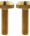 Premium Gold Titanium Hex Bolt Kit For Motorcycle And Bicycle Track Ready Fasteners M8x30mm, set of six screws shown.