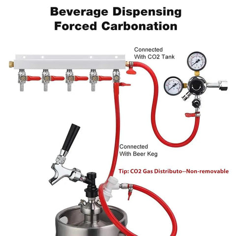Professional 5 Way CO2 Gas Manifold With 5/16 Inch Barbed Fittings For Homebrew Draft Beer Keg Carbonation Control showing connections.