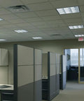 Office ceiling with EI500 M12 Contractor Select 500 Lumen Emergency Ballast for fluorescent fixtures, integrated in lighting system.