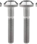 Top Shelf Titanium Hex Bolt And Screw Kit For Motorcycle And Bicycle Gear Upgrades Featuring six shiny titanium screws with precision threads.