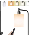 Floor Lamp With Remote And Foot Control Rustic Standing Light With Four Color Temperature Modes Jade Matte Glass Shade.