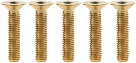 Pro Grade Kickass Titanium Bolt Set Five Piece M6 X 25 mm Flat Countersunk Head Allen Key with golden finish.