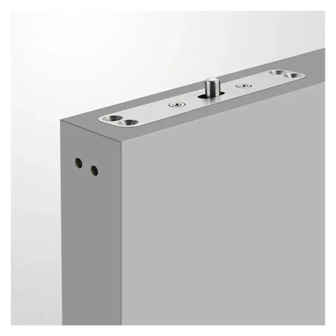 Heavy Duty Springback Pivot Hinge For Restaurants And Commercial Doors showing top view with secured stainless steel plate.