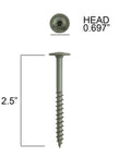 Badass Quarter Inch By Two Point Five Structural Lag Screws Grade 5 Heavy Duty Fasteners depicted showing 2.5 inch length and washer head.