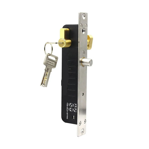 12V or 24V Electric Drop Bolt Lock with Manual Override Cylinder for Gate Access Control showing key and stainless steel faceplate.
