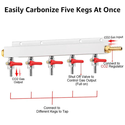 Professional 5 Way CO2 Gas Manifold With 5/16 Inch Barbed Fittings For Homebrew Draft Beer Keg Carbonation Control showing five valves.