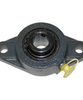Heavy Duty Cast Iron Flange Cartridge Bearing Unit With Two Bolt Mounting And Fully Regreaseable Setup featuring felt seals and locking collar.