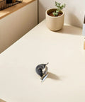 Vintage Bronze Furniture Casters With Brake 8 Pack Swivel Plate Wheels on a desk, showcasing smooth motion glide.