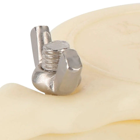 Close-up of stainless steel screw on Leak Proof 1.5 Inch Honey Gate Valve for Buckets and Extractors, easy draining beekeeping bottling tool.