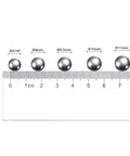 100 Pack 10 mm Carbon Steel Ball Bearings Precision Mirror Polished with ruler showing size comparison of steel spheres