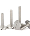 Top Tier 304 Stainless Steel M4x14mm Slotted Cheese Head Machine Screws Five Pack arranged for display.
