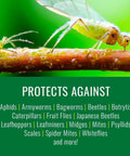 Neem Oil Spray For Gardening Ready To Use Insect And Fungus Control No Mixing For Houseplants And Home Gardens 24 Ounce Bottle Kills Aphids Whiteflies Spider Mites Japanese Beetles And More
