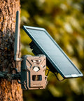 All In One Solar Panel For Trail Cameras With Built In Lithium Battery And Plug And Play Setup attached to a tree.
