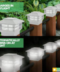 Day and night view of Two Tier Solar Post Cap Lights For 4x4 And 5x5 Posts White Waterproof Outdoor LED Fence Post Landscaping Deck Lighting 8 Pack