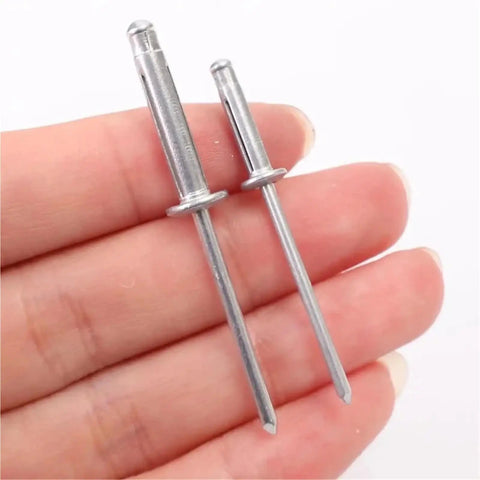 Two aluminum alloy blind rivets from the 200-piece M4 kit for wood, plastic, metal car repair and DIY projects.