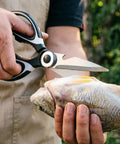 Rugged Kitchen Scissors For Everyday Cooking Ultra Sharp Stainless Steel Meat Shears For Spatchcocking Chicken Poultry Fish And Herbs Dishwasher Safe Multi Purpose Scissors With Ergonomic Comfort Grip And Built In Nutcracker Bottle Opener cutting fish