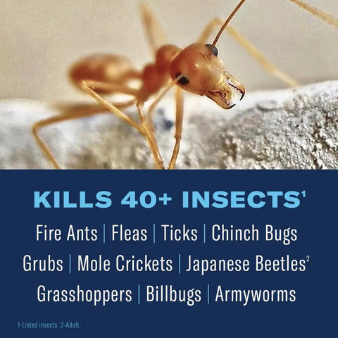 Close-up of ant on surface with text 'Kills 40+ Insects', related to 24 Hour Lawn Insect And Fire Ant Killer Granules