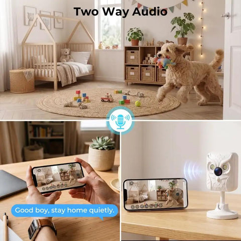 Crisp 2K Indoor Security Camera With Dual Band WiFi And Full Color Night Vision monitoring dog playing in cozy nursery.