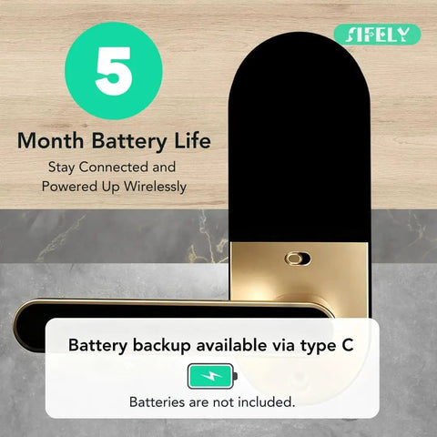 Slick Built In Wifi Smart Door Lock With Handle And Keypad Quick Keyless Fingerprint Biometric Scanner App Remote Access Auto Lock Front Door No Sweat Diy Setup with battery info display