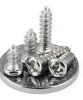 Rock Solid Mini Micro Watch Screws Kit Nickel Plated Cross Pan Head Tapping Hardware Set on a coin, showcasing sizes for precision repairs.