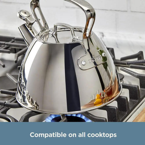 Specialty Stainless Steel Tea Kettle, 2 Quart, Induction Ready Pot on stovetop, visible fill line, whistle, silver kitchen essential