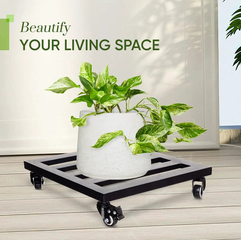 Lockable Heavy Duty Plant Caddy Trolley With 12 Inch Wheels Steel Construction showcasing large potted plant indoors.
