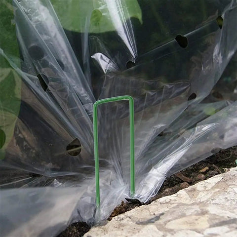U Shaped Galvanized Steel Ground Pins Garden Stakes And Staples For Landscape Netting And Ground Sheets Heavy Duty Pegs 6 Inch 40 Pack Green Yard Workhorse installed in ground through plastic sheet.