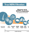 Diagram showing Replacement Filter For Holmes HAPF600 B Console Allergen Remover 2 Pack High Efficiency 0.3 Micron Filtration efficiency