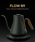 Gooseneck Electric Kettle With 1 Degree Temperature Control 1500W Fast Heating Pour Over Coffee And Tea Kettle Delacroix Green