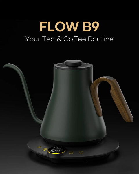 Gooseneck Electric Kettle With 1 Degree Temperature Control 1500W Fast Heating Pour Over Coffee And Tea Kettle Delacroix Green
