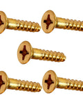 Premium Solid Brass Phillips Flat Head Wood Screws Heavy Duty Hardware Kit Corrosion Resistant Non Magnetic Rugged As Heck And Built Tough For Daily Grind Projects 2500 Pack, displaying five screws.