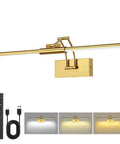 24 Inch Picture Light For Wall With 8000mAh Rechargeable Battery Wireless LED Light With Remote Dimmable 3000K 4000K 6000K No Fuss Setup Art Lighting For Paintings Frames And Gallery Brass Finish showing brass light, remote, and settings.