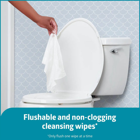 Hand holding ReadyFlush Biodegradable Flushable Wipes 576 Count In 24 Pack Of 24 Hydraspun before flushing into toilet.