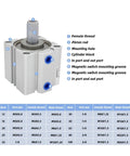 Top Shelf Double Rod Compact Air Cylinder And Pneumatic Actuator with 100mm Stroke, showing threaded ports and mounting features.