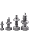 Top Shelf Stainless Steel Spring Plunger Featuring A Knurled Grip Knob And Self Locking Design For Effortless Retraction Includes An M16 Mounting Screw And Nut For Heavy Duty Applications That Will Stand The Test Of Time, showcasing four sizes.