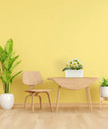 Five Pack White Herb Planter Boxes With Drip Trays Eight Point Five Inch Small Oval Window Planters on wooden table with flowers